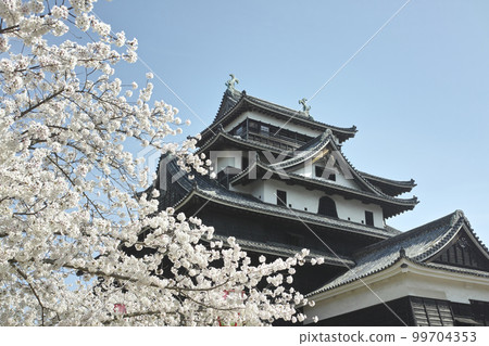 Matsue Castle Tower and Sakura Matsue Castle Tower and Sakura 99704353