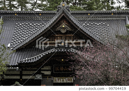 Snow falling on Oyama Shrine with plum blossoms 99704419