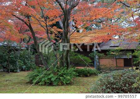 Tea room during autumn leaves (Nagoya Castle, Nagoya City, Aichi Prefecture) Tea room during autumn leaves (Nagoya Castle, Nagoya City, Aichi Prefecture) 99705557
