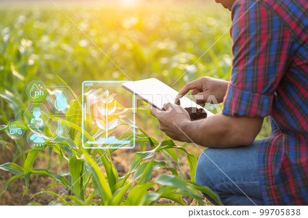 Farmer using digital tablet in corn crop cultivated field with smart farming interface icons and light flare sunset effect. Smart and new technology for agriculture business concept. 99705838
