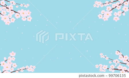 春天背景模板(藍色)被櫻花包圍著舞動的花瓣 春天背景模板(藍色)被櫻花包圍著舞動的花瓣 99706135