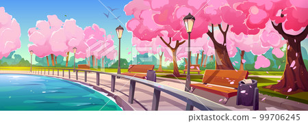 Riverside park with sakura trees along promenade 99706245