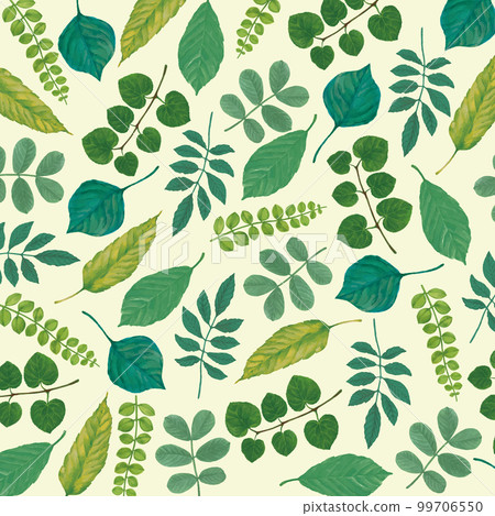 Hand-painted background material of fresh green fresh green leaves Hand-painted background material of fresh green fresh green leaves 99706550