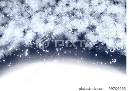 cherry blossoms like snow cherry blossoms like snow 99706663