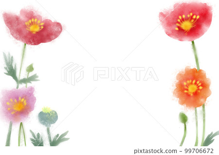 Poppy flower card 2 99706672