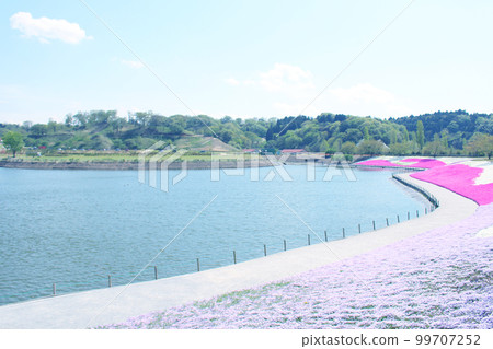 Landscape of moss slurry 99707252