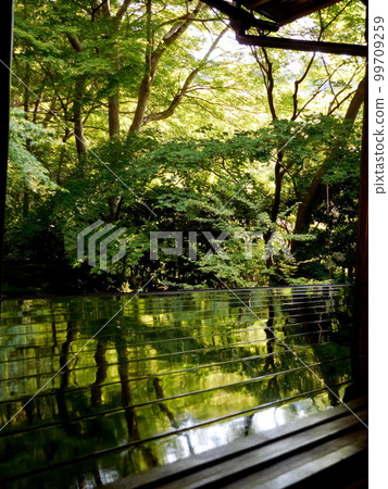 Ruriko-in Floor Momiji 1st floor 99709259