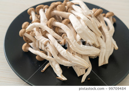 fresh brown beech mushroom or black reishi mushroom fresh brown beech mushroom or black reishi mushroom 99709484
