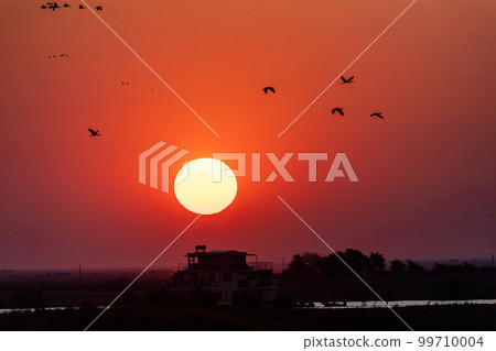 Sunset over the chobe river 99710004