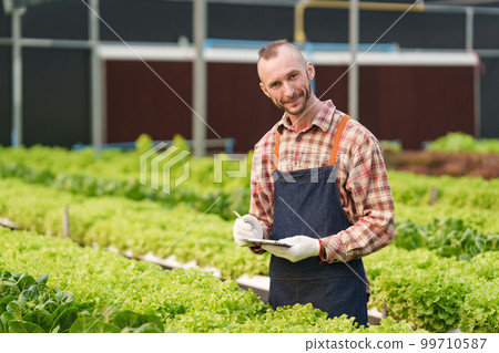 Businessperson or farmer checking hydroponic soilless vegetable in nursery farm. Business and organic hydroponic vegetable concept Businessperson or farmer checking hydroponic soilless vegetable in nursery farm. Business and organic hydroponic vegetable concept 99710587