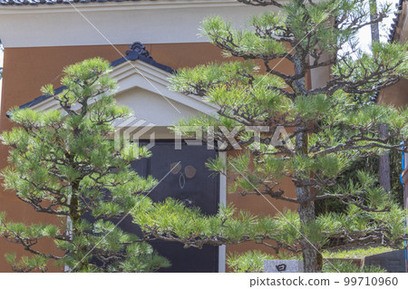 Summer view of onohiyoshi jinja shrine, Kanazawa, Japan. 99710960