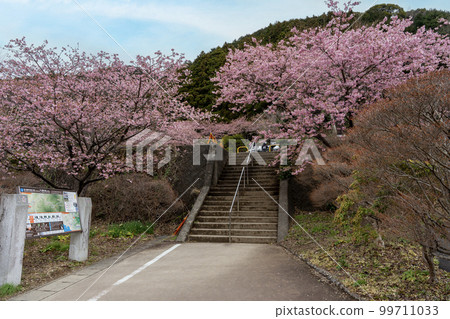 河津七成免費停車場 99711033