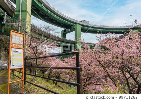 河津七瀧環狀橋巴士站 河津七瀧環狀橋巴士站 99711262