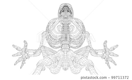 Human skeleton. 3d illustration Human skeleton. 3d illustration 99711372
