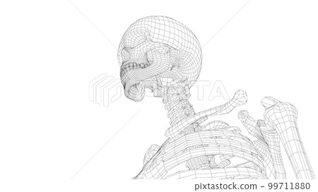 Human skeleton. 3d illustration Human skeleton. 3d illustration 99711880