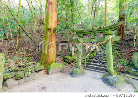 Winter Kumano Gongen Kumano Shrine Torii Gate, Bungotakada City, Oita Prefecture 99712190