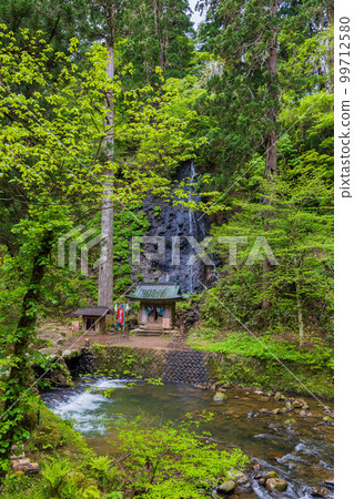 Early summer in Tsuruoka, Yamagata, Mt. Haguro in the fresh greenery of Dewa Shrine, Suga Falls and Harae River 99712580