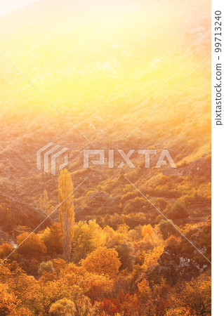 Sunset Or Sunrise In Autumn Meadow. Autumn Nature Landscape Under Summer Evening Light. Soft Autumn Shinning Light. Beautiful Scenic View 99713240