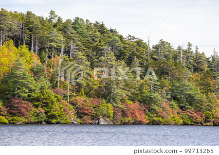 Shirakomakike秋葉 99713265