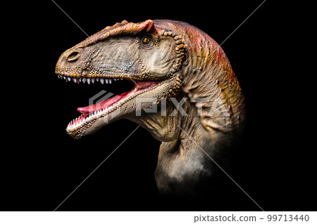 The head of Carcharodontosaurus in the dark , dinosaur on black background The head of Carcharodontosaurus in the dark , dinosaur on black background 99713440