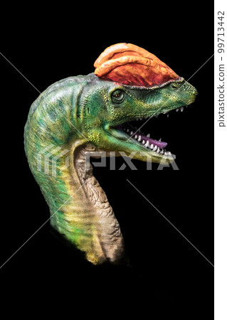 The head of Dilophosaurus in the dark , dinosaur on black background The head of Dilophosaurus in the dark , dinosaur on black background 99713442