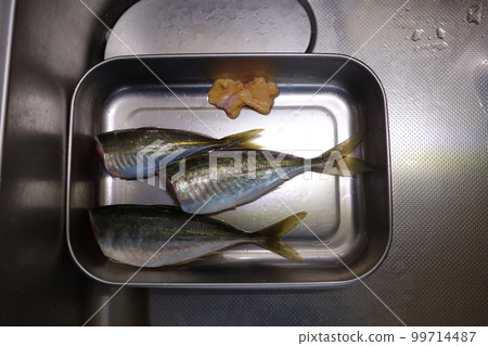 中期竹莢魚產卵期 中期竹莢魚產卵期 99714487