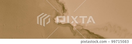 Abstract Coffee Stains. Grunge Blots Pattern. 99715083