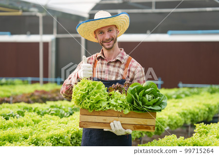Businessperson or farmer checking hydroponic soilless vegetable in nursery farm. Business and organic hydroponic vegetable concept Businessperson or farmer checking hydroponic soilless vegetable in nursery farm. Business and organic hydroponic vegetable concept 99715264