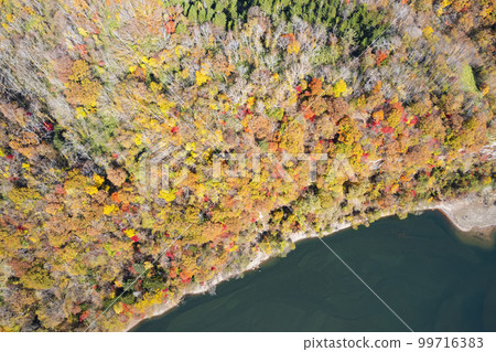 Aerial shot of Lake Eniwa in autumn with a drone (true bird's-eye view) Aerial shot of Lake Eniwa in autumn with a drone (true bird's-eye view) 99716383