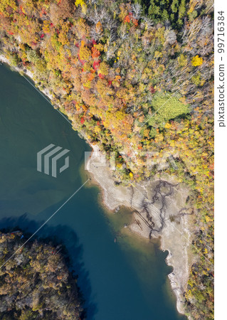 用無人機航拍秋天的惠庭湖（真實鳥瞰圖） 99716384