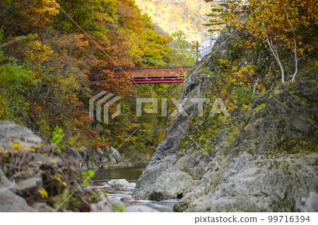 "Futami Suspension Bridge" and autumn leaves in Jozankei, Hokkaido "Futami Suspension Bridge" and autumn leaves in Jozankei, Hokkaido 99716394