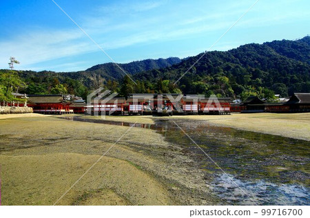 Floating Shrine on the Sea... Itsukushima Shrine, Miyajima in Aki 99716700