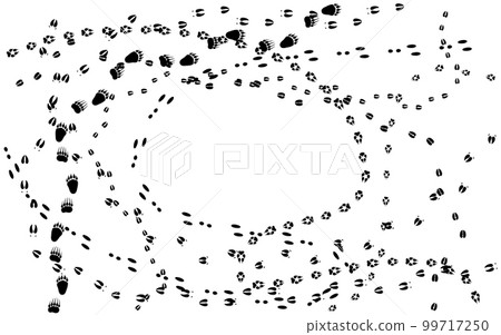 Animal tracks isolated on a white Animal tracks isolated on a white 99717250
