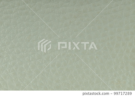 Green leather 99717289