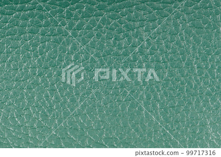 Green leather 99717316