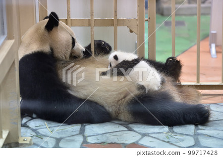 Yoshihama's mother raising a child 99717428