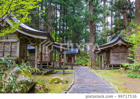 Early summer in Yamagata Tsuruoka Dewa Shrine at Mt. Haguro in the fresh greenery 99717516