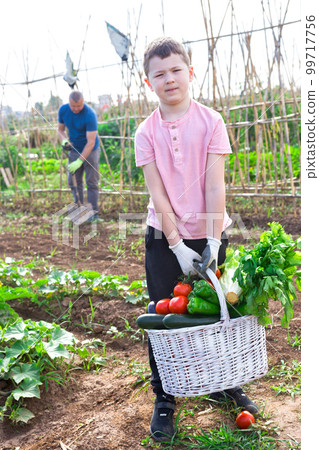 Cheerful preteen boy with harvested vegetables in family garden 99717756