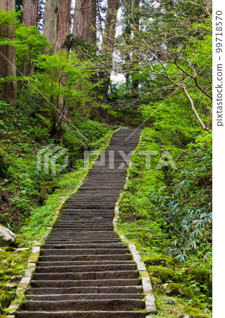 初夏的山形鶴岡 初夏的山形鶴岡 99718570