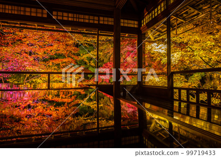 Ruriko-in's autumn leaves special viewing at night Ruriko-in's autumn leaves special viewing at night 99719433