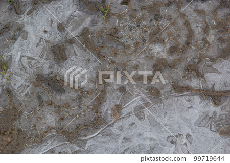beautifully frozen water in a puddle. air bubbles inside the ice. frozen mud beautifully frozen water in a puddle. air bubbles inside the ice. frozen mud 99719644