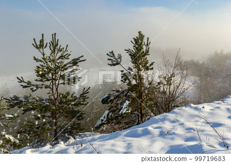 Landscape of a winter snowy forest. Pines, spruces, larches, conifers, deciduous trees in the snow make up the horizon, a white meadow, a ravine covered with shrubs, a temperate zone Landscape of a winter snowy forest. Pines, spruces, larches, conifers, deciduous trees in the snow make up the horizon, a white meadow, a ravine covered with shrubs, a temperate zone 99719683