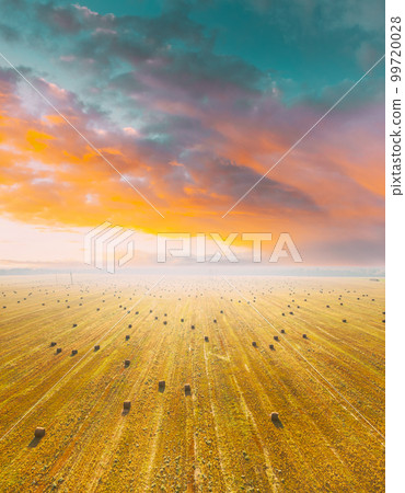 Aerial View Of Summer Hay Rolls Straw Field Landscape In Summer Sunny Day. Bright Orange Blue Sky Above Field Landscape. Harvest Season. Elevated View. Sunbeams Highlight Above Blossom Rapeseed 99720028