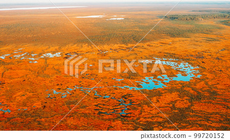 Miory District, Vitebsk Region, Belarus. The Yelnya Swamp. Upland And Transitional Bogs With Numerous Lakes. Elevated Aerial View Of Yelnya Nature Reserve Landscape. Famous Natural Landmark 99720152