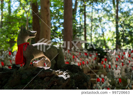 [Toyokawa Inari Shrine] Foxes in Reikozuka 99720663