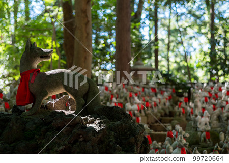 [Toyokawa Inari Shrine] Foxes in Reikozuka 99720664