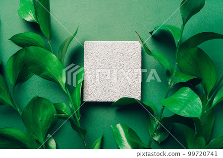 Product presentation scene made with pumice stone on green background with fresh green leaves. 99720741