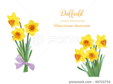 具有水彩風格寫實觸感的水仙花 99720758
