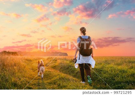 Young Woman Walking With Dog In Summer Meadow Grass During Sunset Sunrise Time. Healthy Lifestyle Walks In Evening Summer Sunlight Young Woman Walking With Dog In Summer Meadow Grass During Sunset Sunrise Time. Healthy Lifestyle Walks In Evening Summer Sunlight 99721295