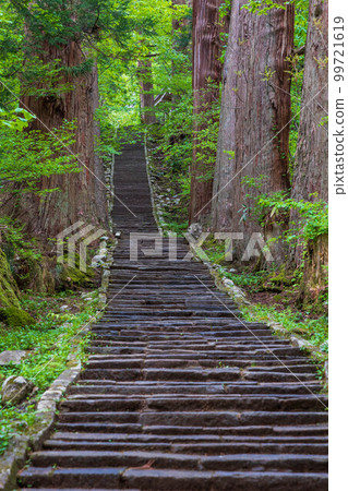 初夏的山形鶴岡 99721619